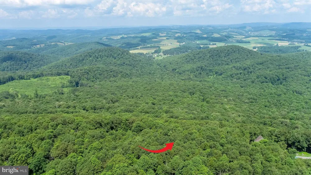 BACKBONE RIDGE ROAD Oakland, MD 21550