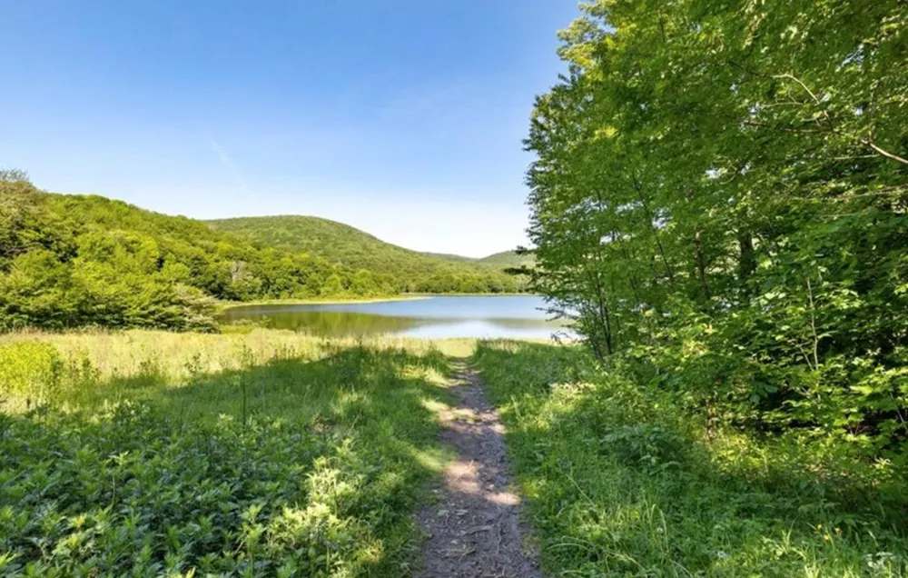 2018 Beaverkill Road Livingston Manor, NY 12758