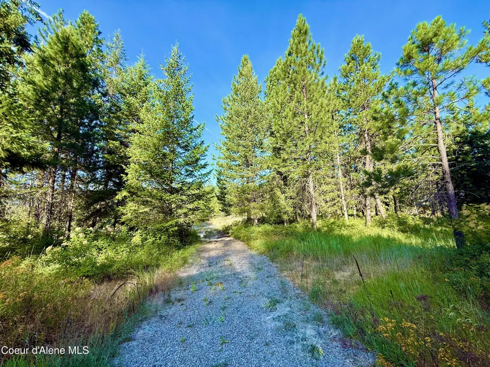 869 Eagle Ridge Lane Kingston, ID 83839