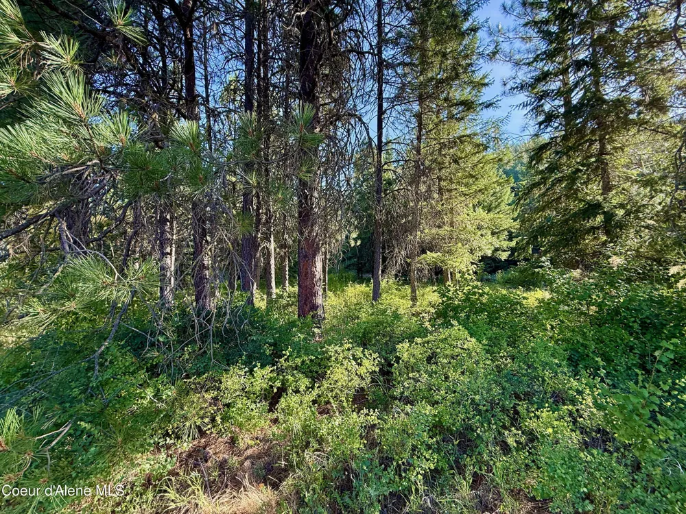 869 Eagle Ridge Lane Kingston, ID 83839