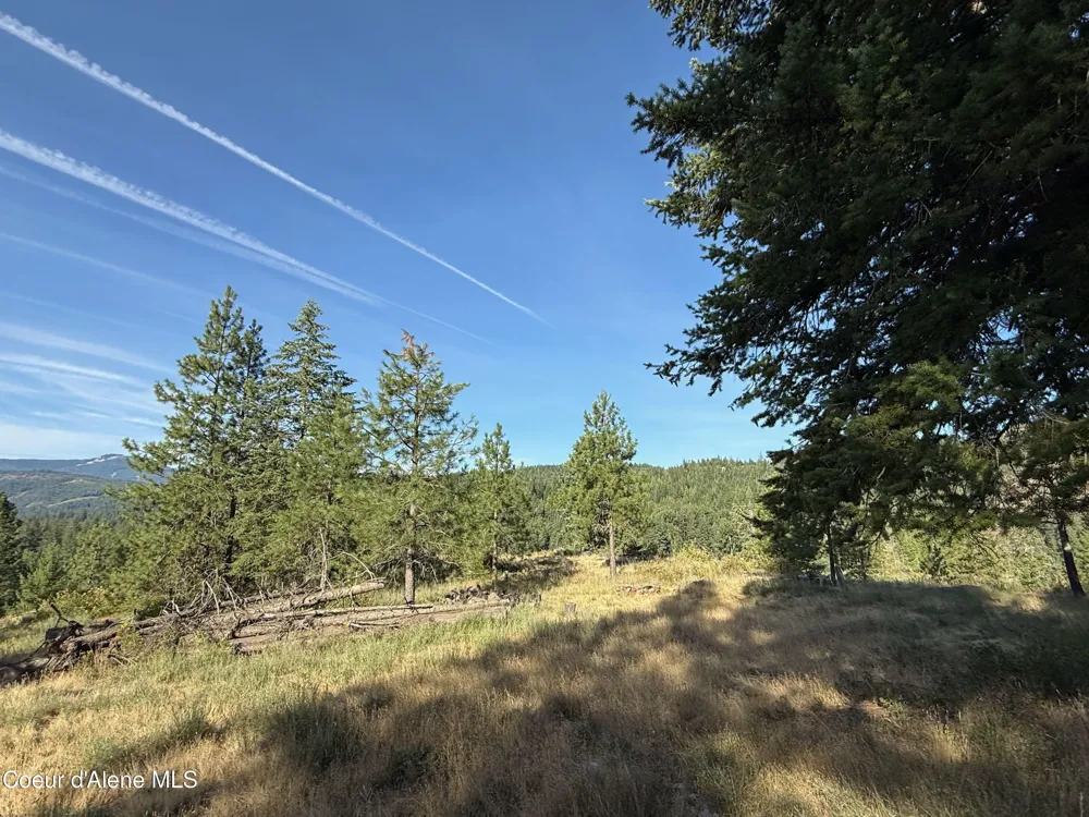 869 Eagle Ridge Lane Kingston, ID 83839