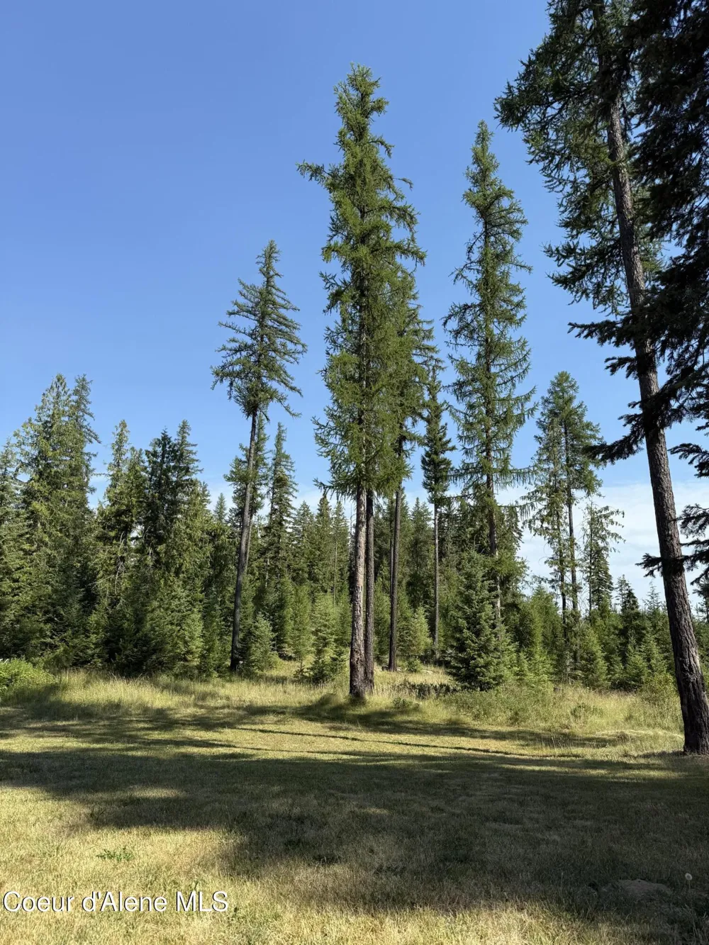 77091 S Highway 3 St. Maries, ID 83861