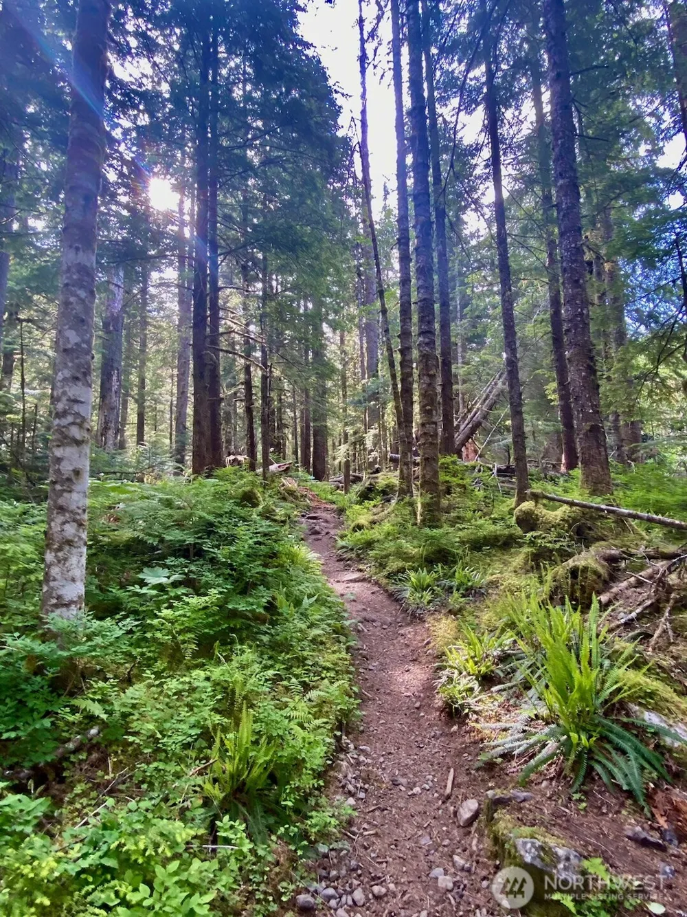 0 XX Mountain Loop Highway Granite Falls, WA 98252