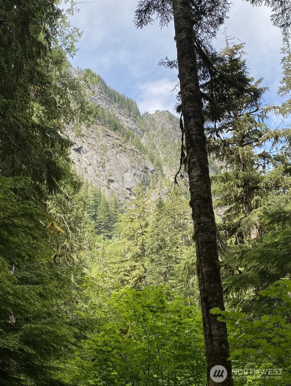 0 XX Mountain Loop Highway Granite Falls, WA 98252