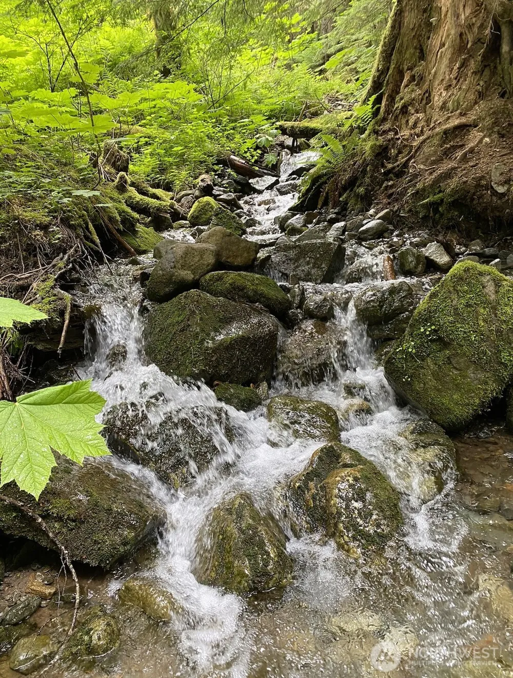 0 XX Mountain Loop Highway Granite Falls, WA 98252