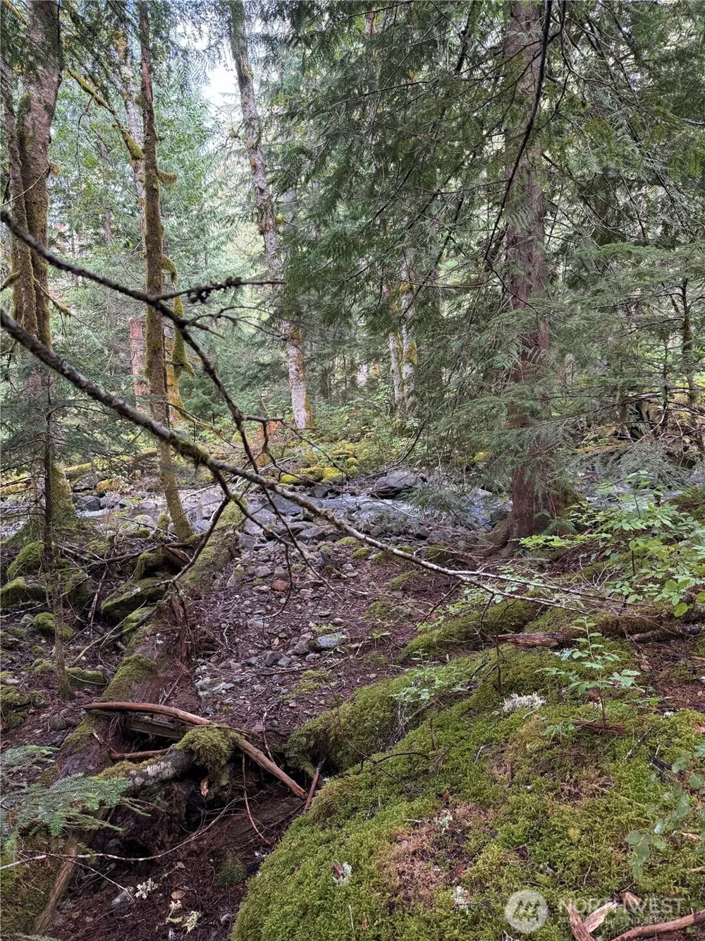 0 XX Mountain Loop Highway Granite Falls, WA 98252