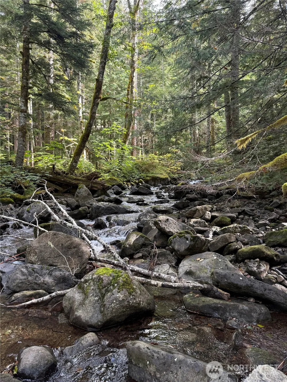 0 XX Mountain Loop Highway Granite Falls, WA 98252