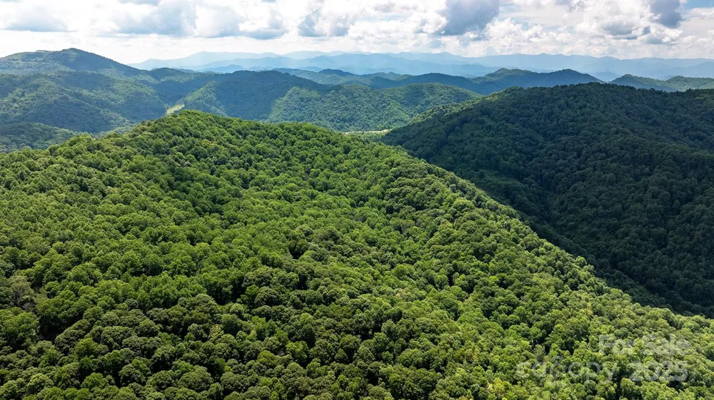 1710 Roaring Fork Road Mars Hill, NC 28754