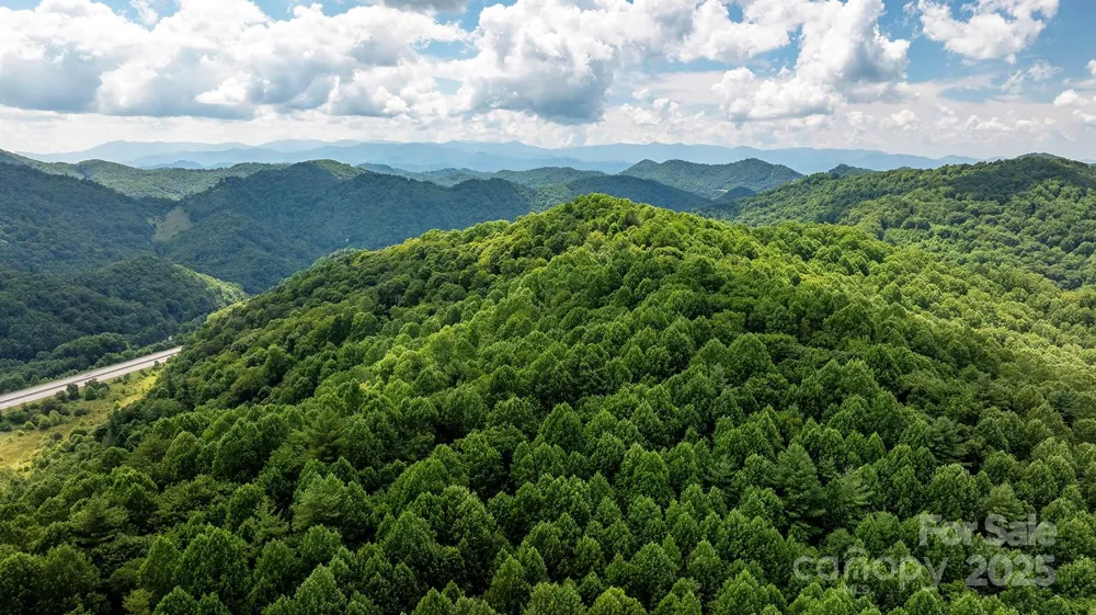 1710 Roaring Fork Road Mars Hill, NC 28754