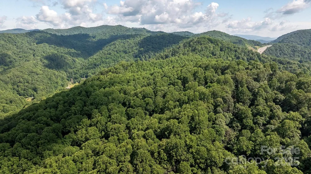1710 Roaring Fork Road Mars Hill, NC 28754
