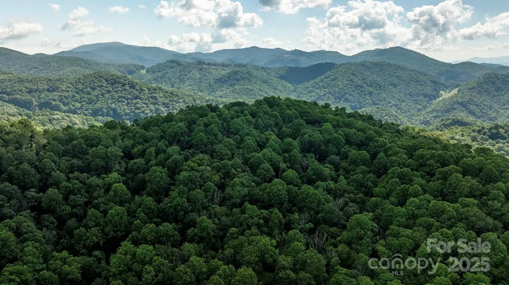 1710 Roaring Fork Road Mars Hill, NC 28754