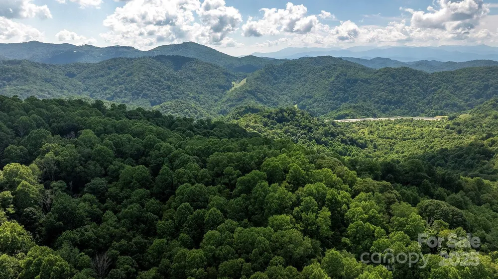 1710 Roaring Fork Road Mars Hill, NC 28754