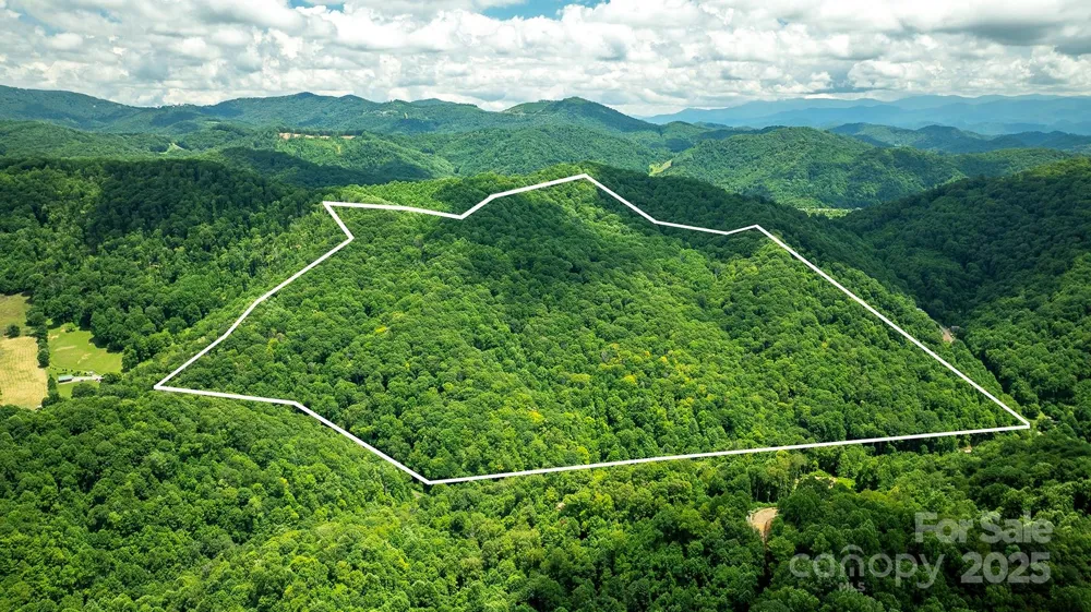 1710 Roaring Fork Road Mars Hill, NC 28754