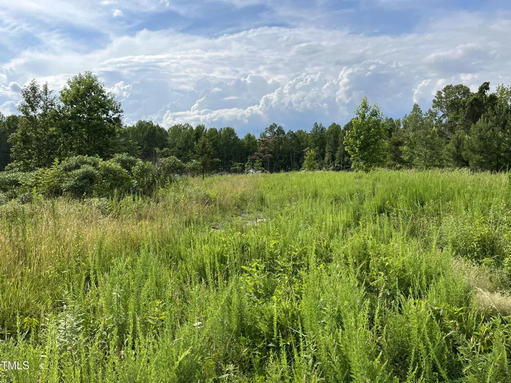 00 Bullocksvile Park Road Manson, NC 27553