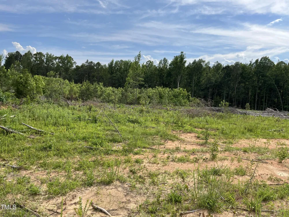 00 Bullocksvile Park Road Manson, NC 27553