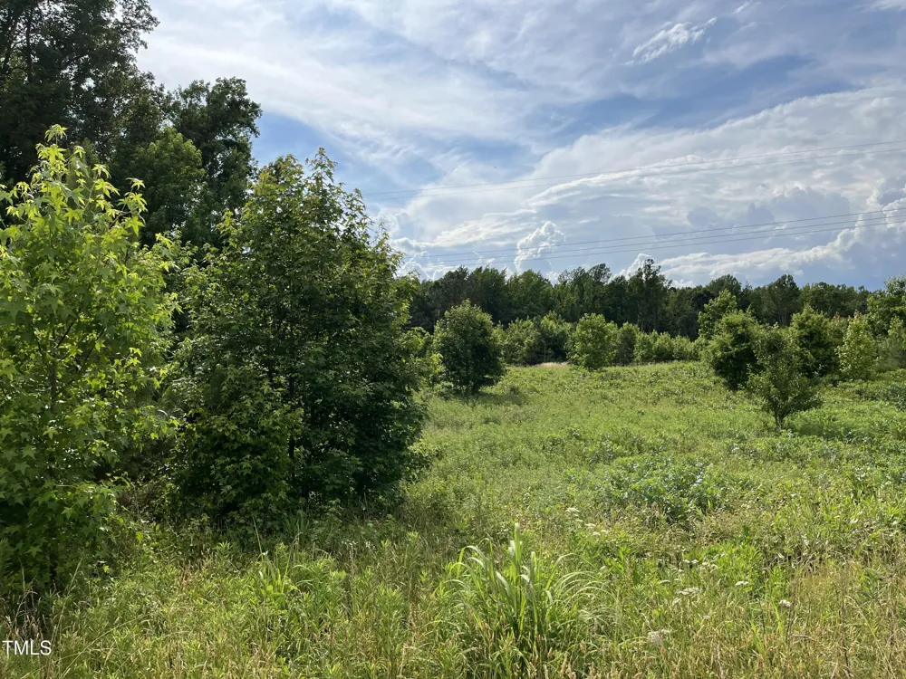 00 Bullocksvile Park Road Manson, NC 27553