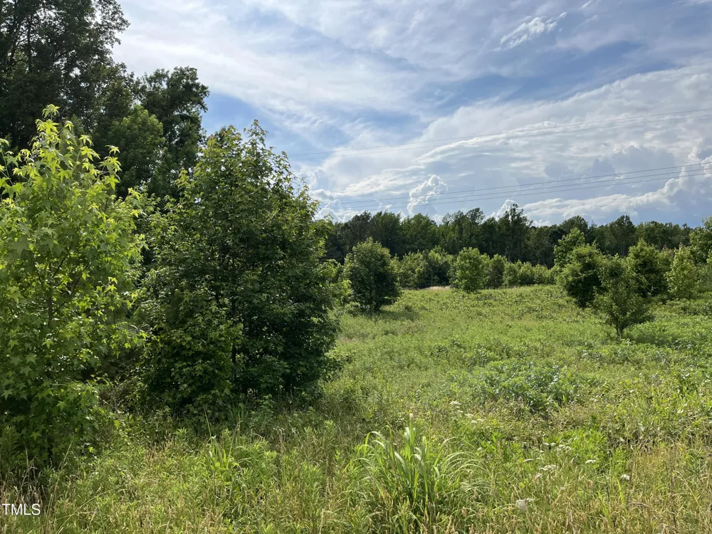 00 Bullocksvile Park Road Manson, NC 27553