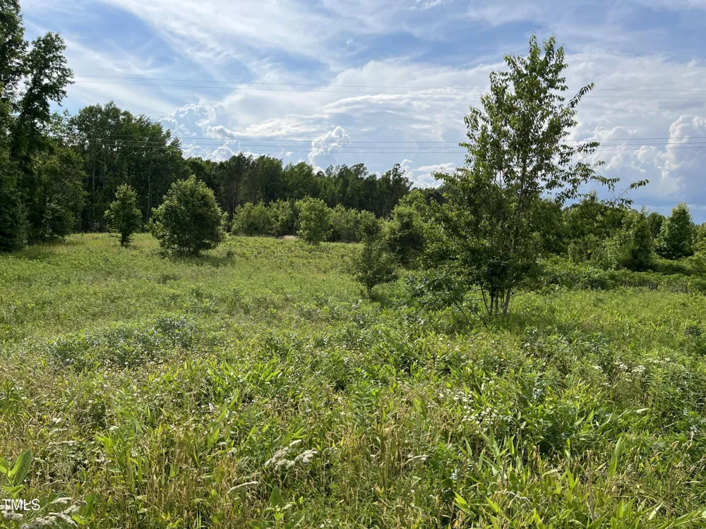 00 Bullocksvile Park Road Manson, NC 27553