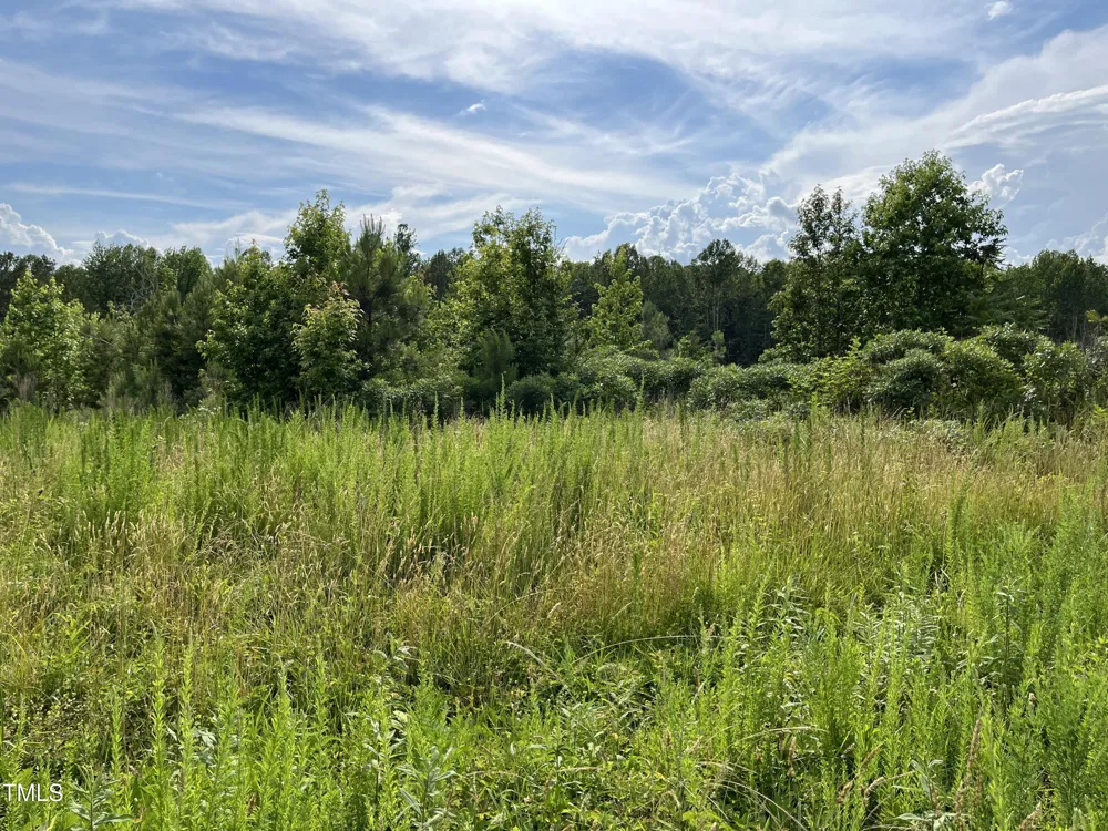 00 Bullocksvile Park Road Manson, NC 27553