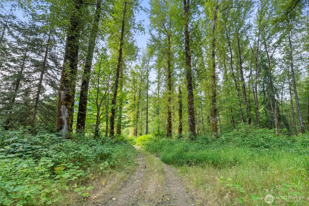 841 W Main Morton, WA 98356