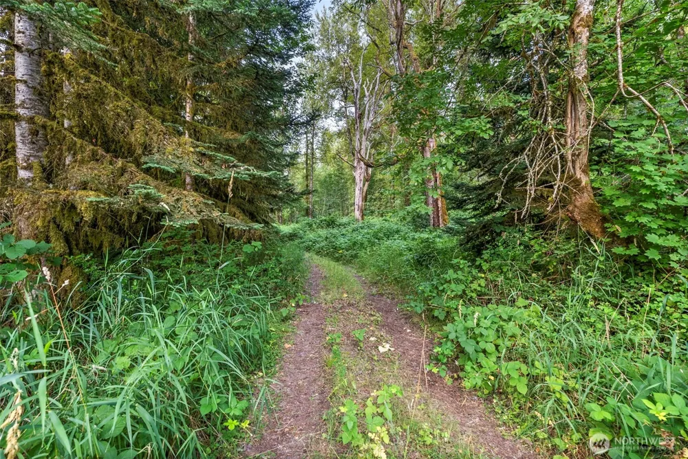 841 W Main Morton, WA 98356