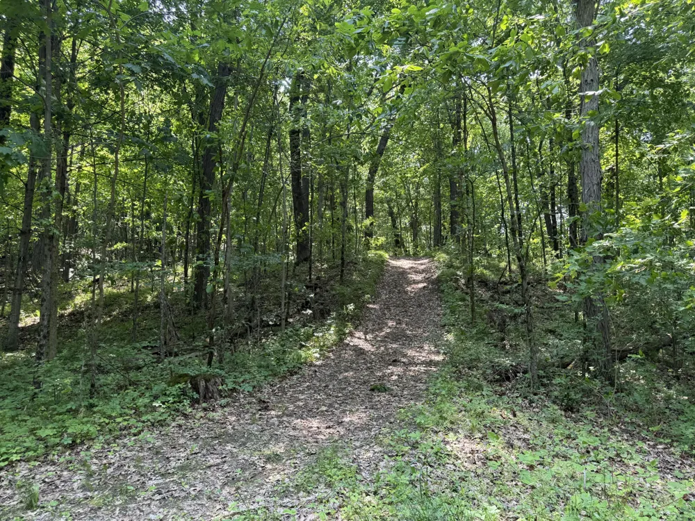 6458 Richardson Road Road Howell, MI 48843