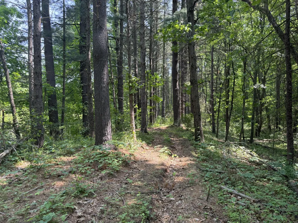 6458 Richardson Road Road Howell, MI 48843