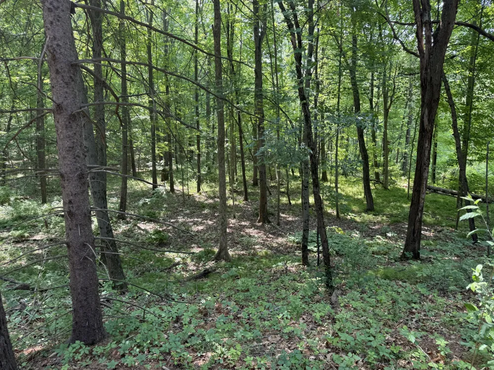 6458 Richardson Road Road Howell, MI 48843