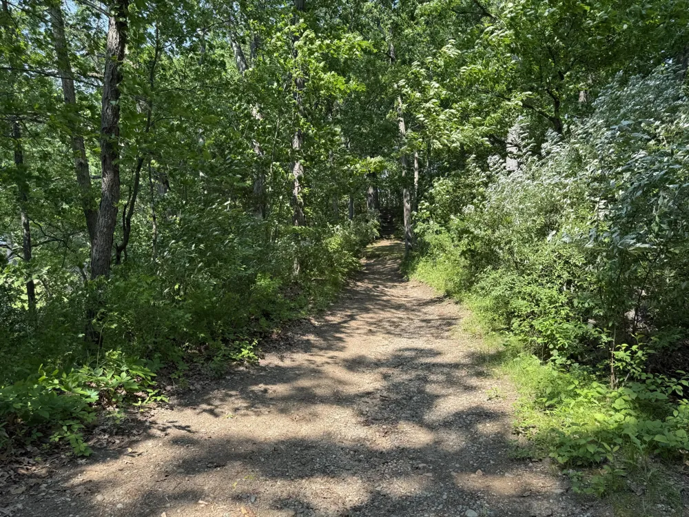 6458 Richardson Road Road Howell, MI 48843