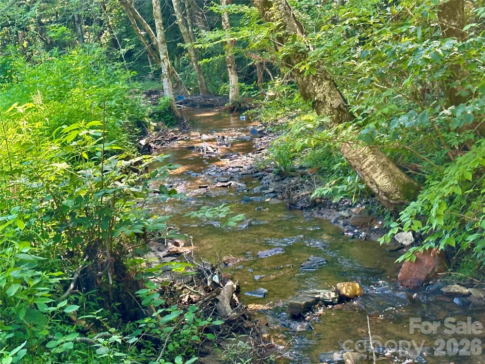492 Chestnut Mountain Road Spruce Pine, NC 28777