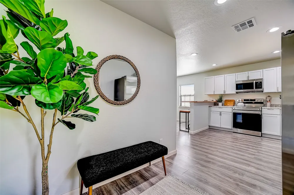 1374 Forest View Drive Blanco, TX 78606