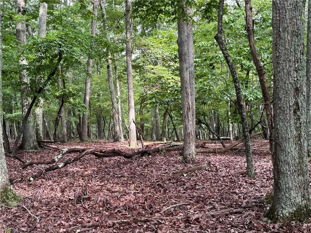 1695 Sierra Trace Road Denton, NC 27239