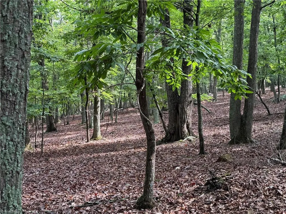 1695 Sierra Trace Road Denton, NC 27239