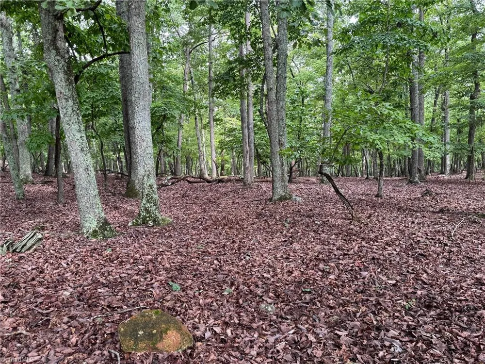 1695 Sierra Trace Road Denton, NC 27239