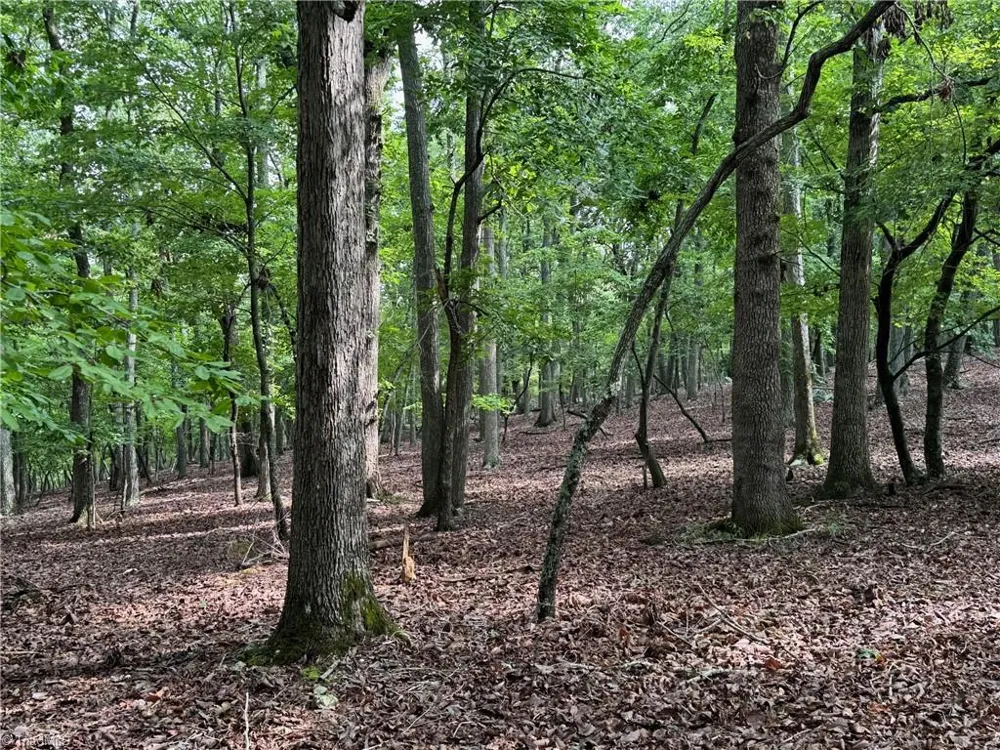 1695 Sierra Trace Road Denton, NC 27239
