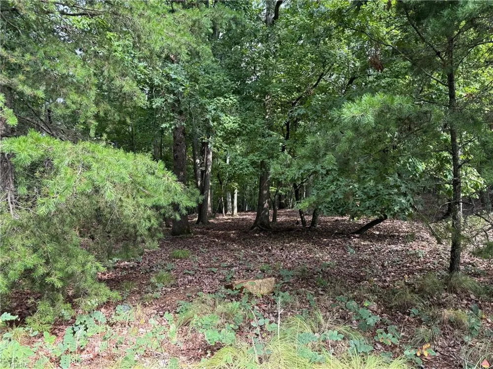 1695 Sierra Trace Road Denton, NC 27239
