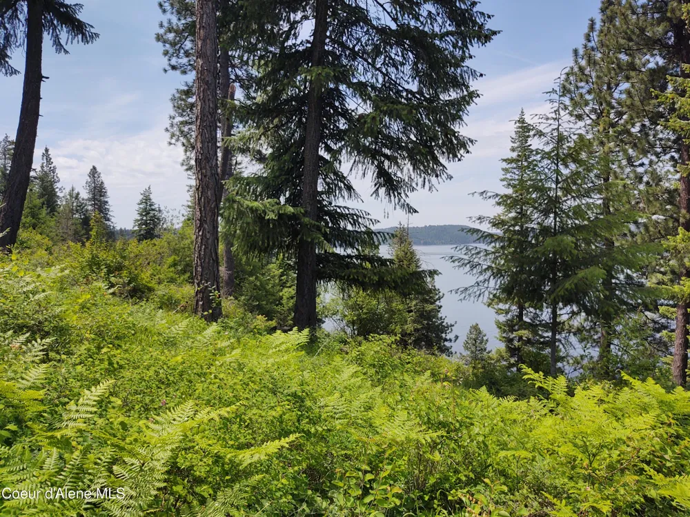 19XXX S HEADLANDS DRIVE Harrison, ID 83833