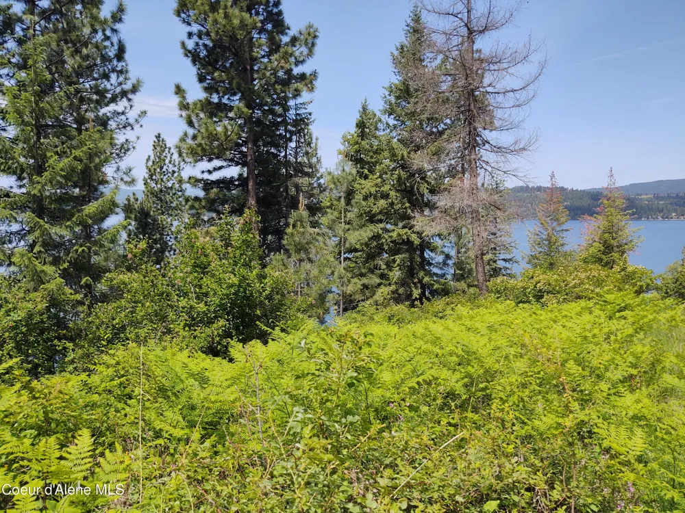19XXX S HEADLANDS DRIVE Harrison, ID 83833