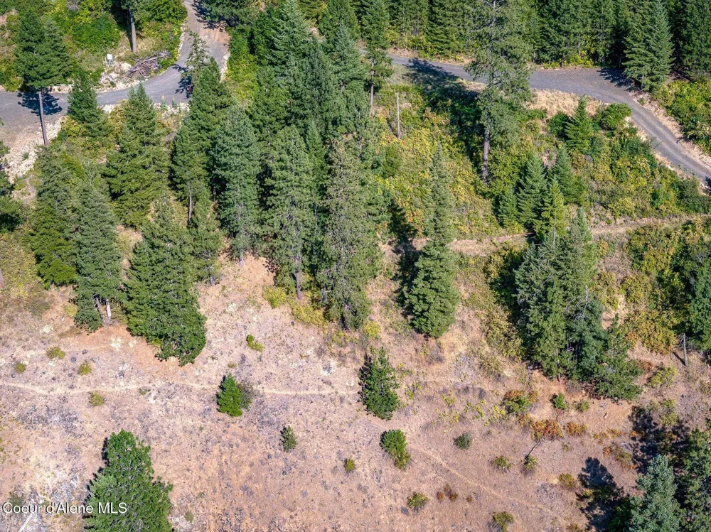 19XXX S HEADLANDS DRIVE Harrison, ID 83833