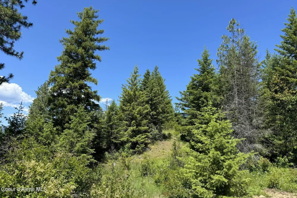 NNA Lot 2 Overlook Drive Sagle, ID 83860