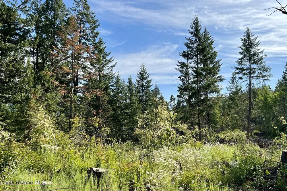 NNA Lot 2 Overlook Drive Sagle, ID 83860