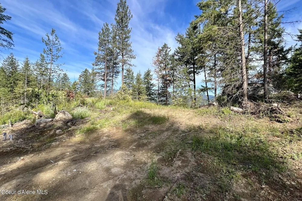 NNA Lot 2 Overlook Drive Sagle, ID 83860