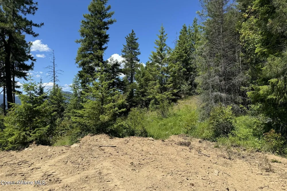 NNA Lot 2 Overlook Drive Sagle, ID 83860