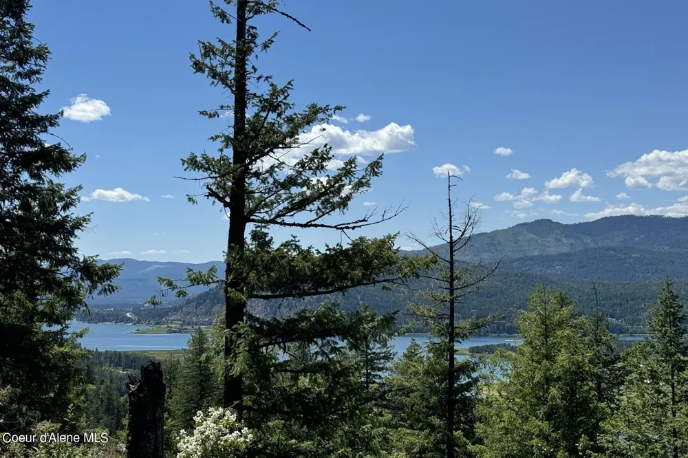 NNA Lot 2 Overlook Drive Sagle, ID 83860
