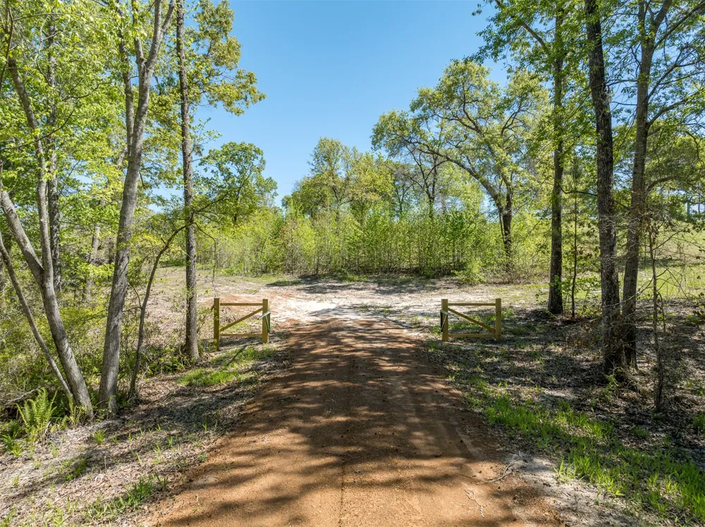 FM-3506 Frankston, TX 75763