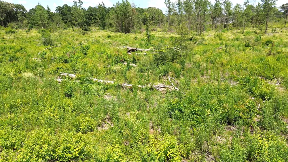 E State Highway 294 Elkhart, TX 75839