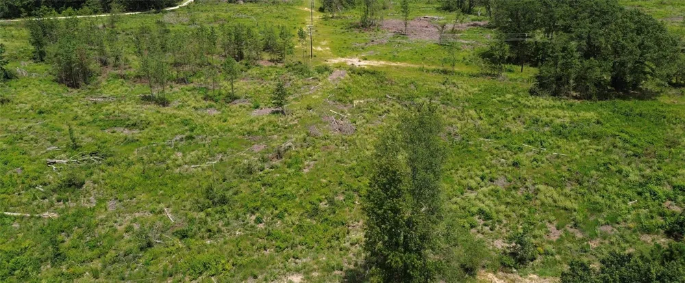 E State Highway 294 Elkhart, TX 75839