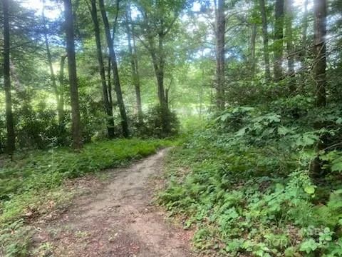 0 Mountain River Place Zirconia, NC 28773