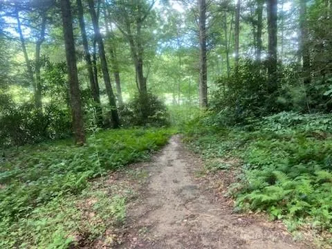0 Mountain River Place Zirconia, NC 28773