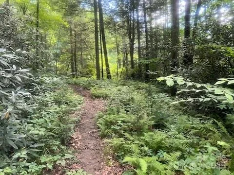 0 Mountain River Place Zirconia, NC 28773